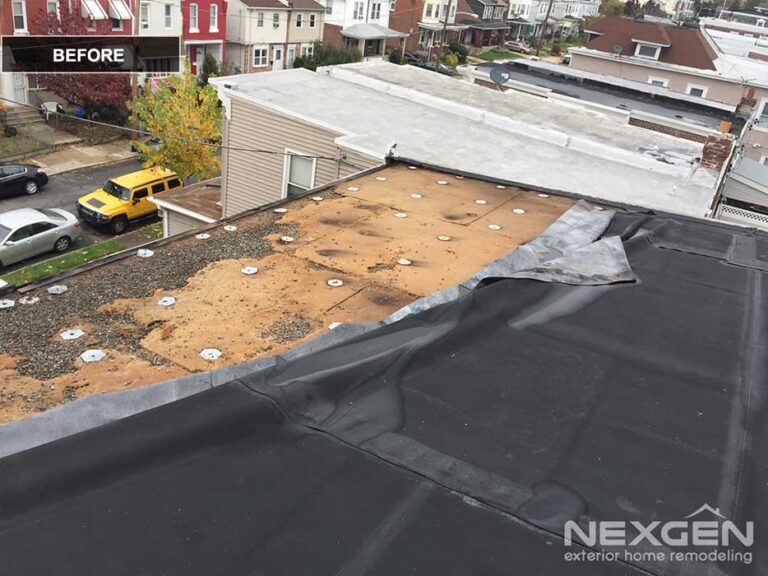 nexgen-gallery-87-01