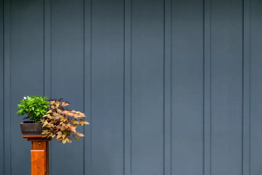 Photo of plants in a container on a pedestal in front of blue Board and Batten James Hardie siding.