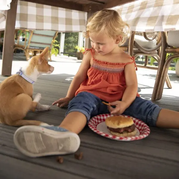 Photo of a child with a sandwich on a plate looking at her pet dog while sitting on a Trex deck.