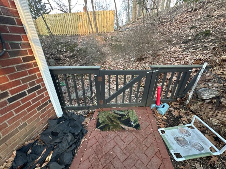 3-Mar 18 2025 06_50pm-pYbF